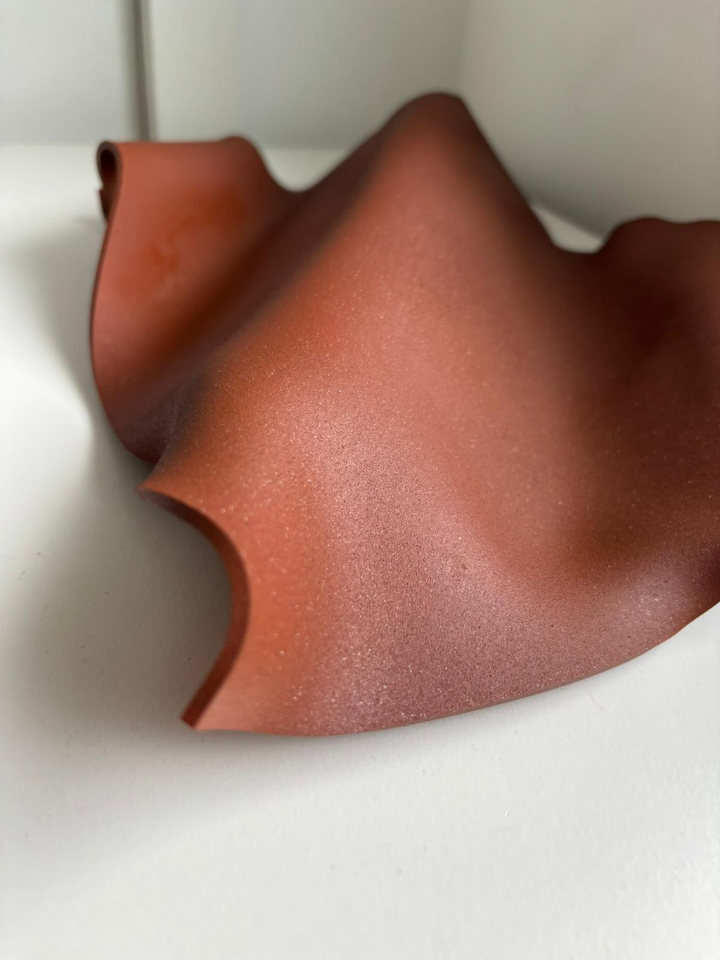 Rusty 3D Wall Sculpture