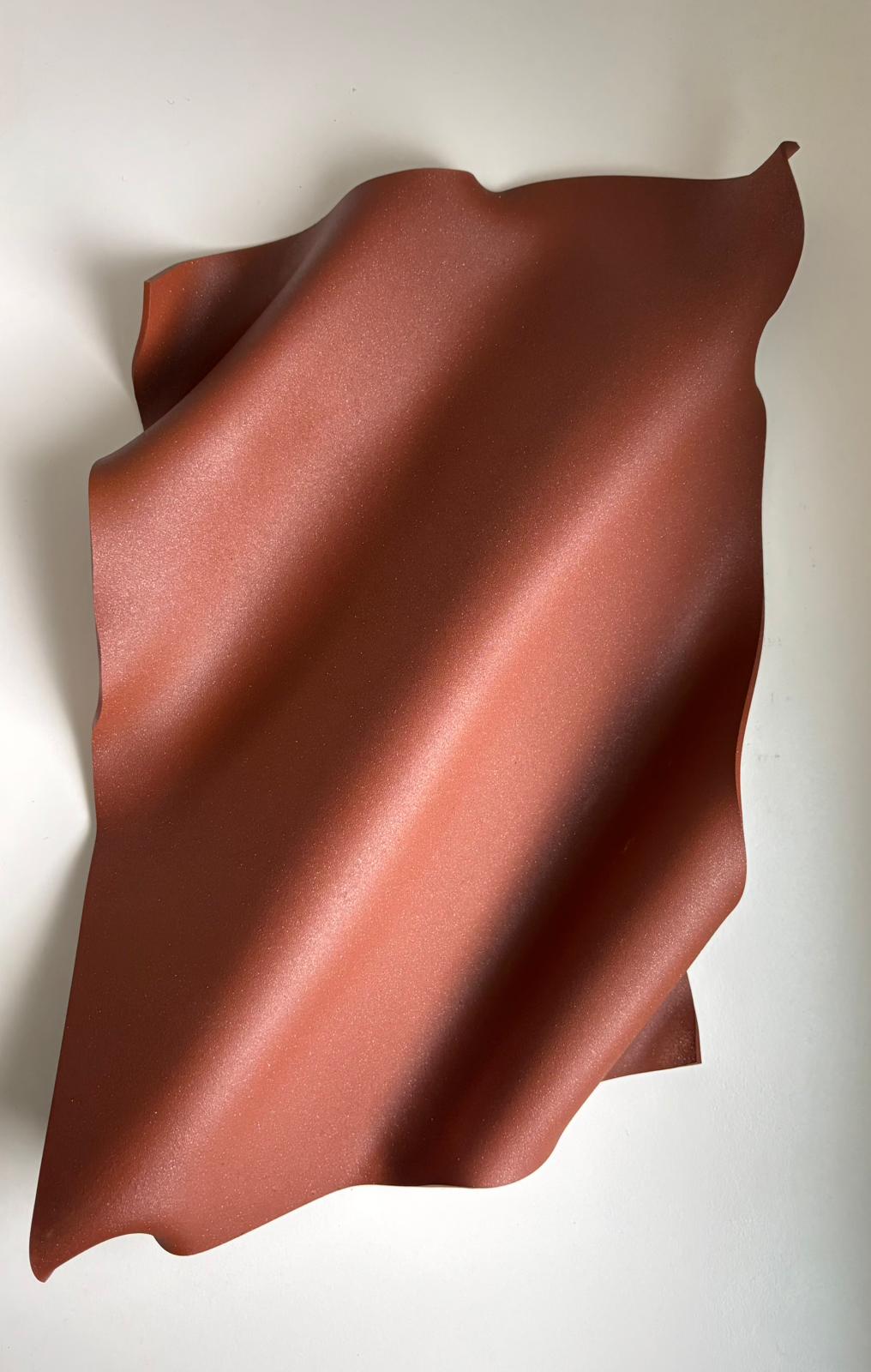 Rusty 3D Wall Sculpture
